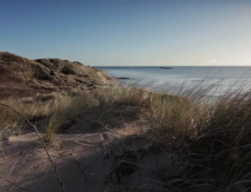 Bellway Homes : Corporate Video